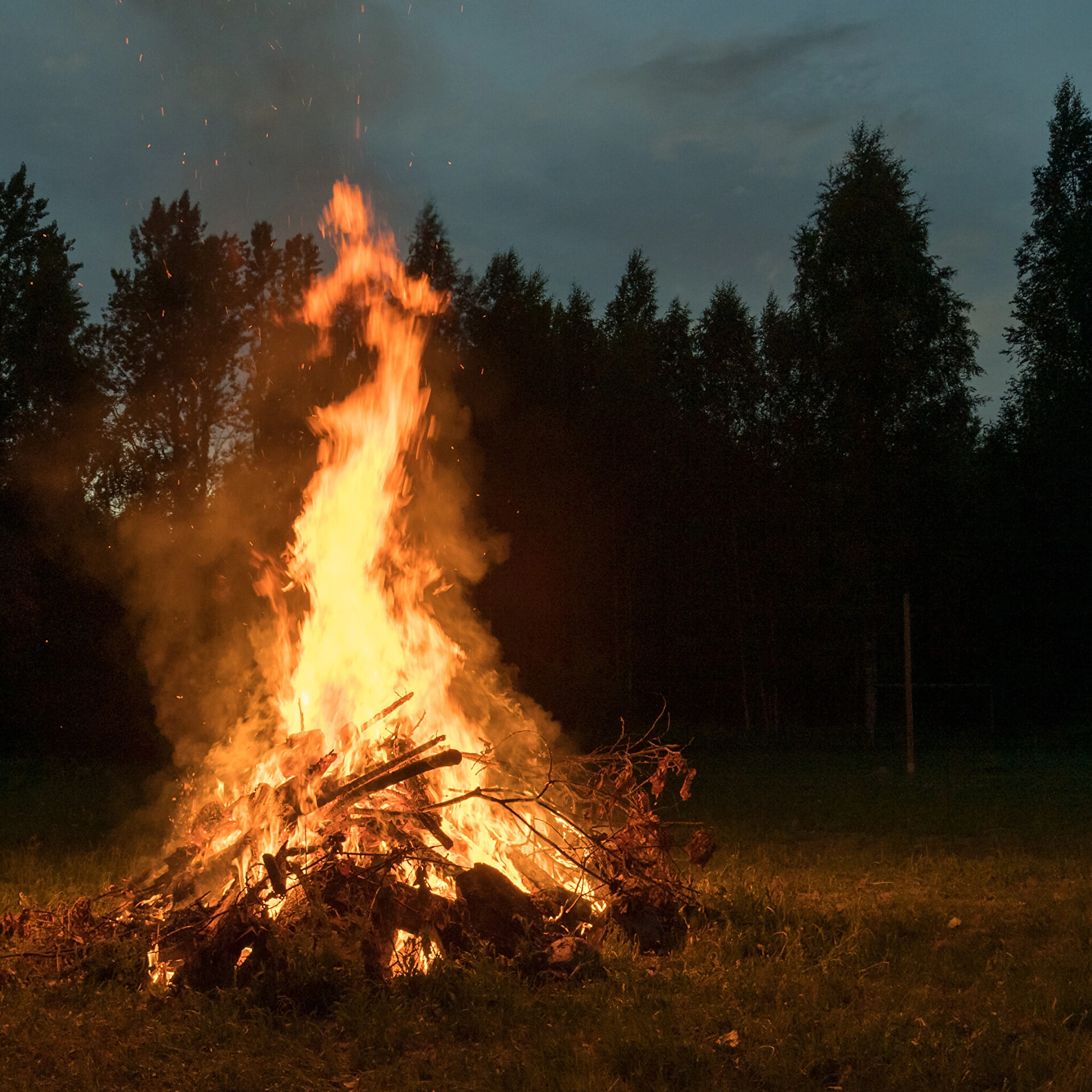 Jaanituli pimedas Eesti metsas
